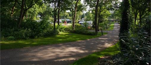 Ardoer Ullingse Bergen